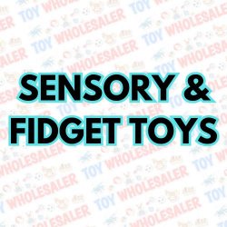 Sensory & Fidget Toys