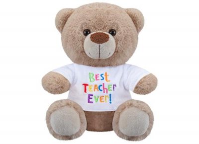 Best Teacher Bear 8"